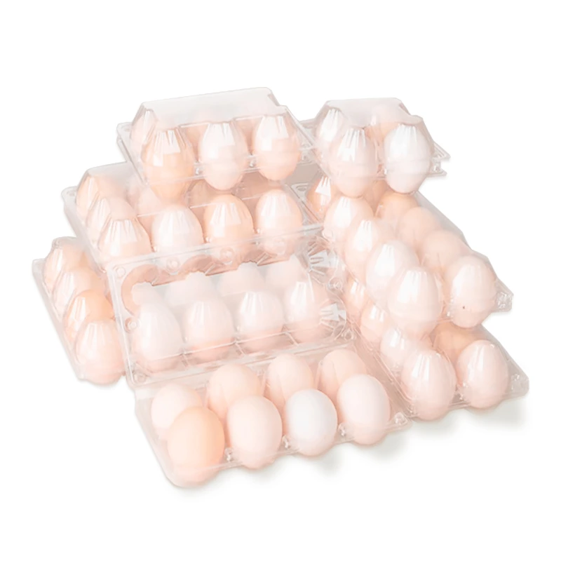 12 Holes Plastic Clear Chicken Egg Tray