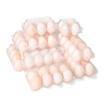 12 Holes Plastic Clear Chicken Egg Tray