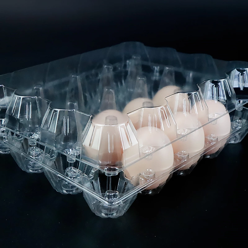 20 holes Disposable PET Transparent Packaging Carton Box Plastic Egg Tray