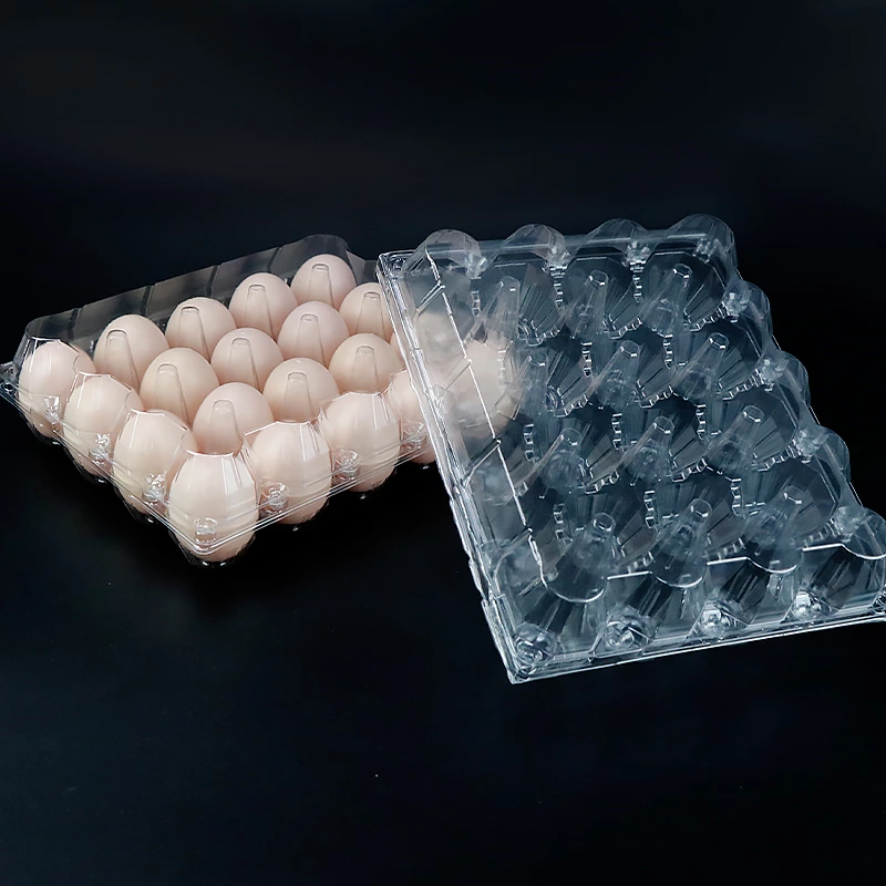 20 holes Disposable PET Transparent Packaging Carton Box Plastic Egg Tray