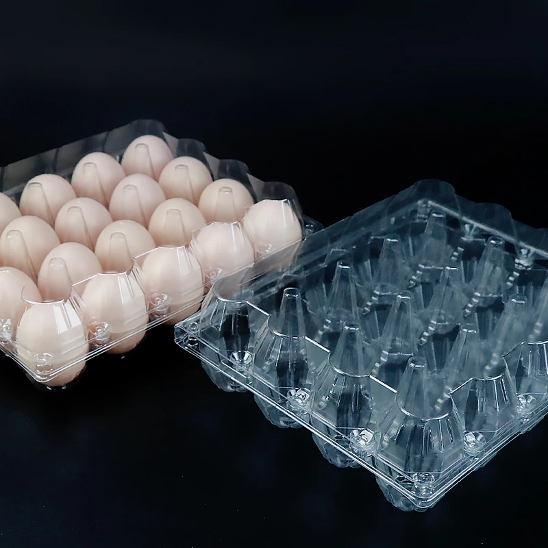 20 holes Disposable PET Transparent Packaging Carton Box Plastic Egg Tray