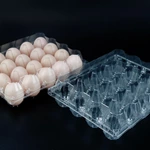 20 holes Disposable PET Transparent Packaging Carton Box Plastic Egg Tray