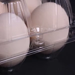 3x4 Egg Cartons Wholesale Transparent Recyclable Plastic Egg Tray