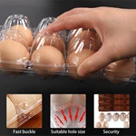 8 Holes Clear Small Plastic Packaging Container Carton Box Chicken Egg Tray