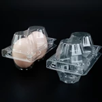 2 Holes PET Carton Chicken Carton Egg Case Packaging Plastic Egg Tray Supplier