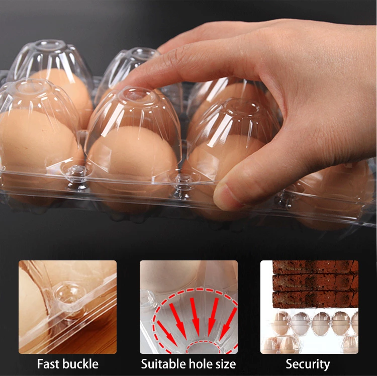 Clear Storage Container Plastic Packaging Chicken Egg Trays with 12 Holes