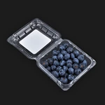 disposable plastic blueberry container