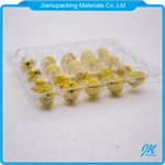 Custom 20 cells clear plastic quail egg crate storage tray box