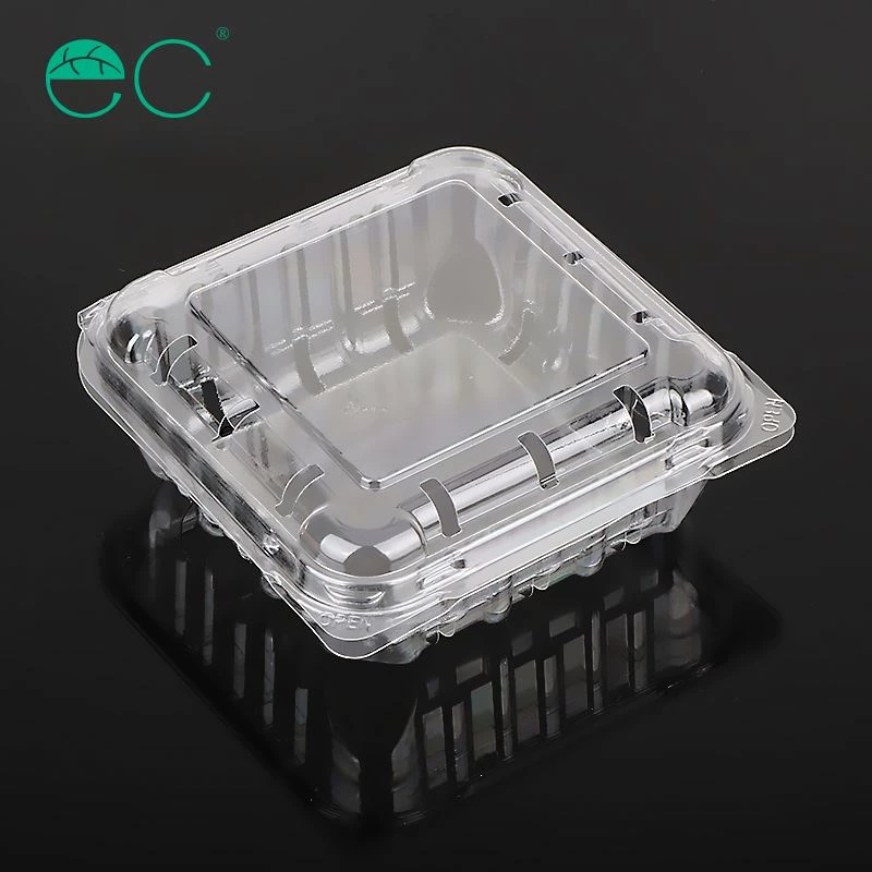 disposable plastic blueberry container