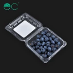 disposable plastic blueberry container