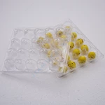 Custom 20 cells clear plastic quail egg crate storage tray box