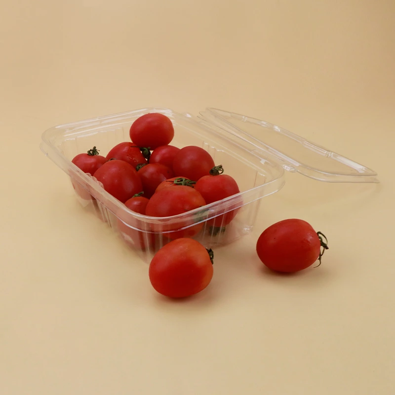 Customized packaging plastic box fruits box container with lid for fruits and salads