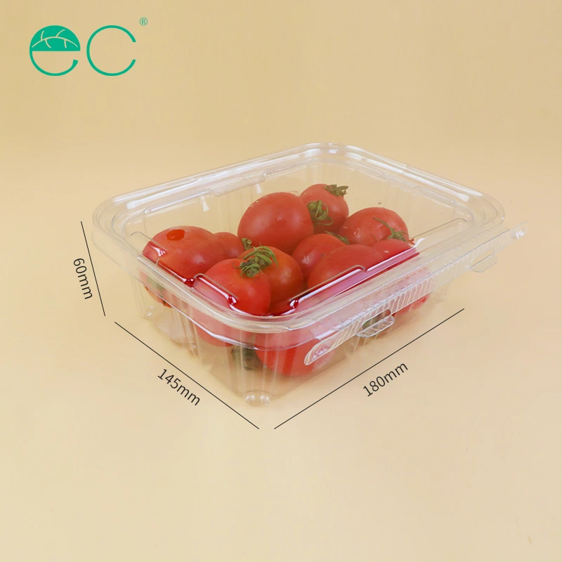 Customized packaging plastic box fruits box container with lid for fruits and salads