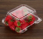 PET Clear Blister Clamshell Plastic Fruit Packaging Box For Strawberry