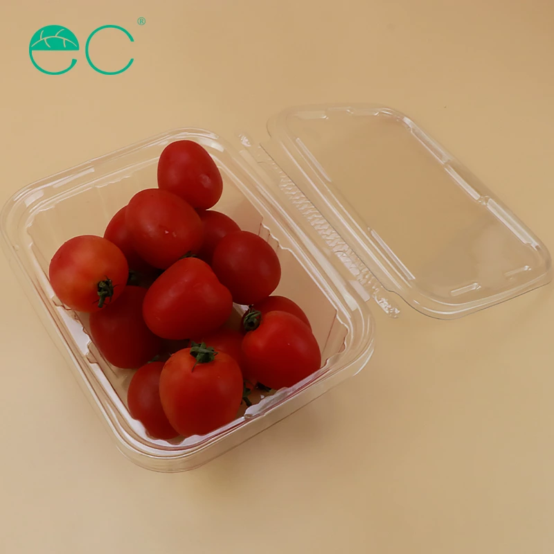 Customized packaging plastic box fruits box container with lid for fruits and salads