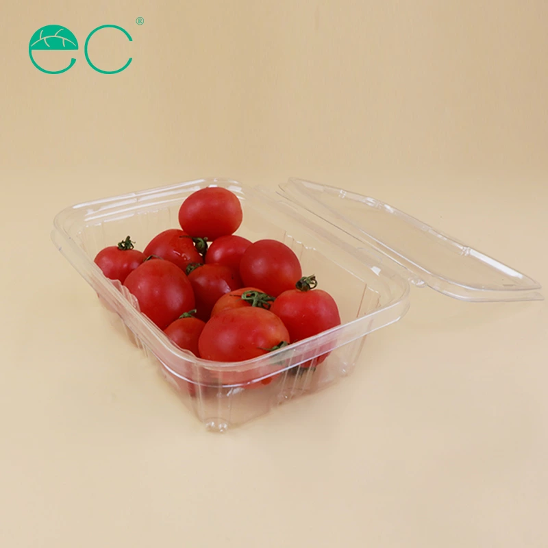 Customized packaging plastic box fruits box container with lid for fruits and salads