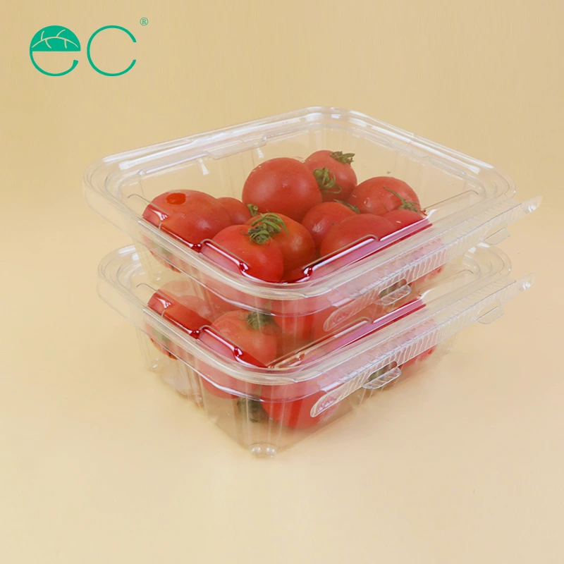 Customized packaging plastic box fruits box container with lid for fruits and salads