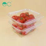 Customized packaging plastic box fruits box container with lid for fruits and salads