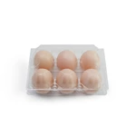 Recyclable clear plastic chicken egg bulk carton clamshell blister packaging box