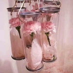 Custom clear pla recycled plastic tube packaging for flower gift