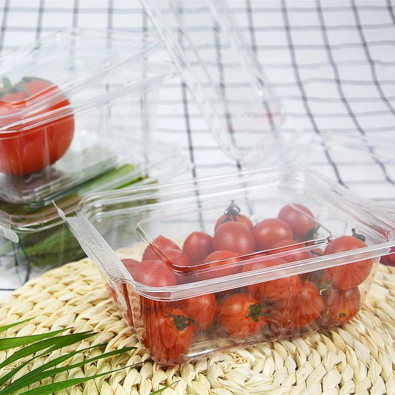 Clear Hinged Deli Fruit Container