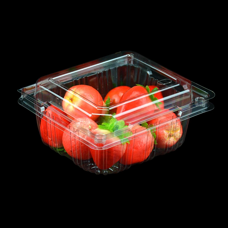 Clear Disposable Plastic Food Box Fruit Container Packaging