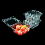 Clear Disposable Plastic Food Box Fruit Container Packaging