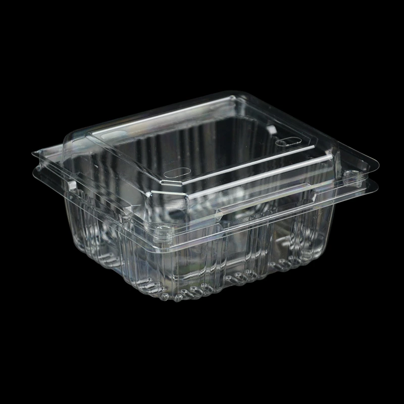 Clear Disposable Plastic Food Box Fruit Container Packaging