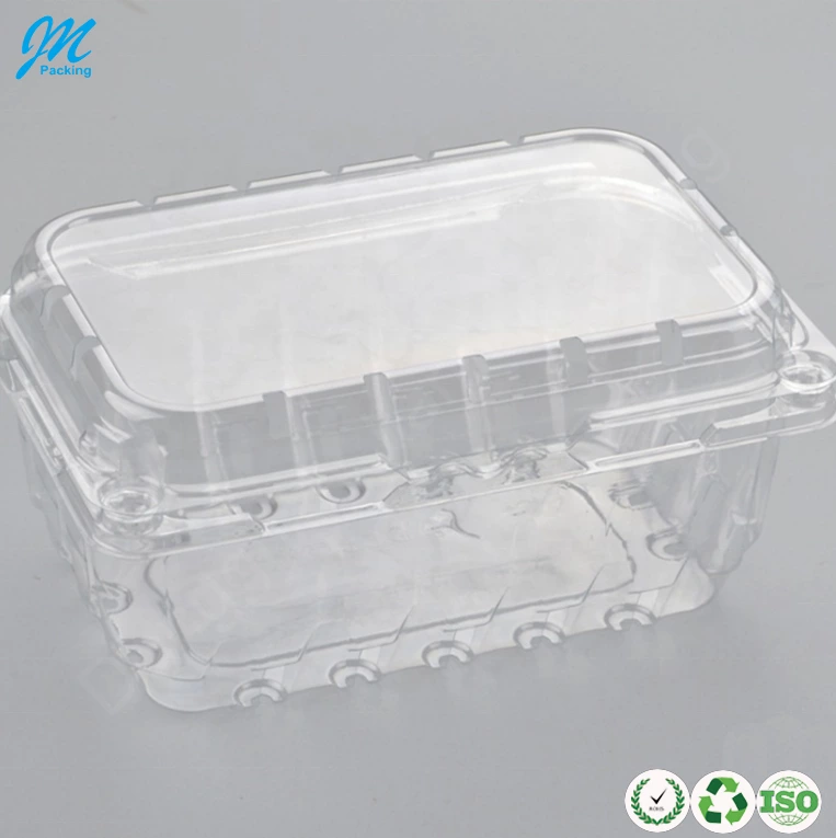 Wholesale clear plastic fruit clamshell punnet box packaging container