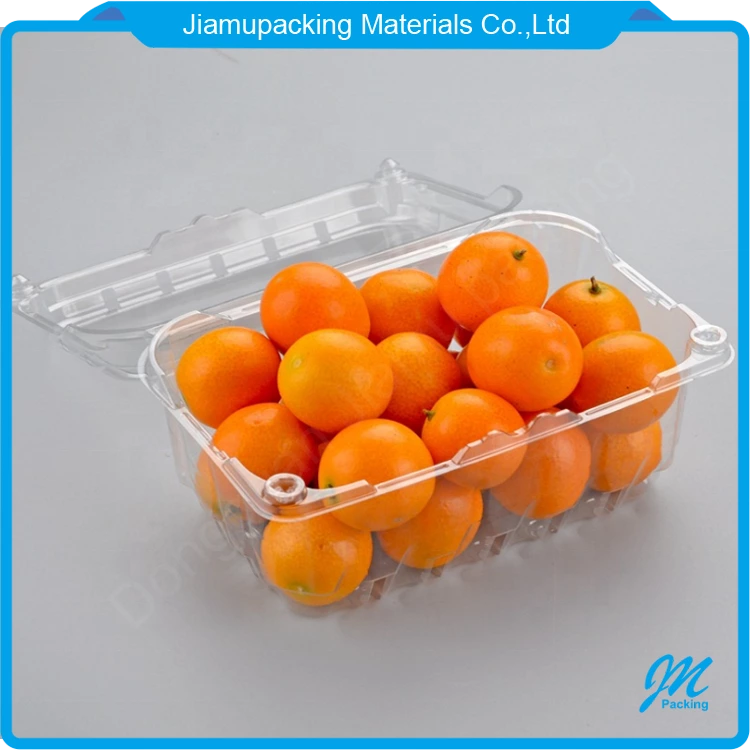 Wholesale clear plastic fruit clamshell punnet box packaging container