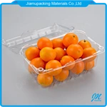 Wholesale clear plastic fruit clamshell punnet box packaging container