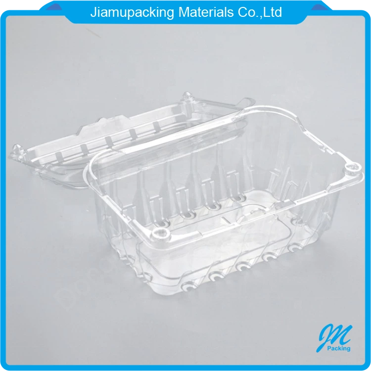 Wholesale clear plastic fruit clamshell punnet box packaging container