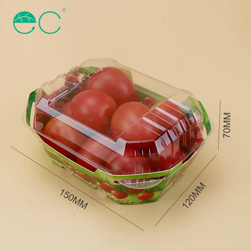 Custom plastic cardboard boxes for fruit punnet packaging container with lid