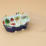 Custom plastic cardboard boxes for fruit punnet packaging container with clear lid