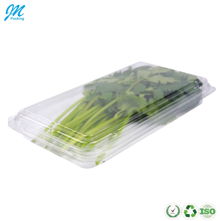 Clear Custom Logo/Size/Shape Accept Anti Fog Plastic Fresh Herbs Clamshell Blister Packaging