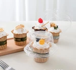 one cell cupcake container