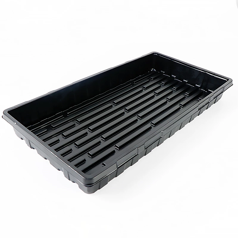 Black seeds Tray