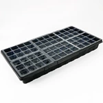 Black seeds Tray