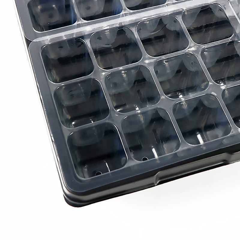 Black seeds Tray