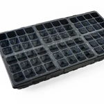 Black seeds Tray