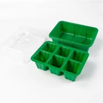 6 cell germination seedling tray