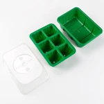 6 cell germination seedling tray