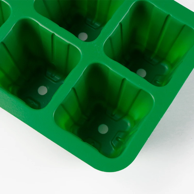 6 cell germination seedling tray