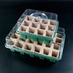 12 compartment  seedling tray