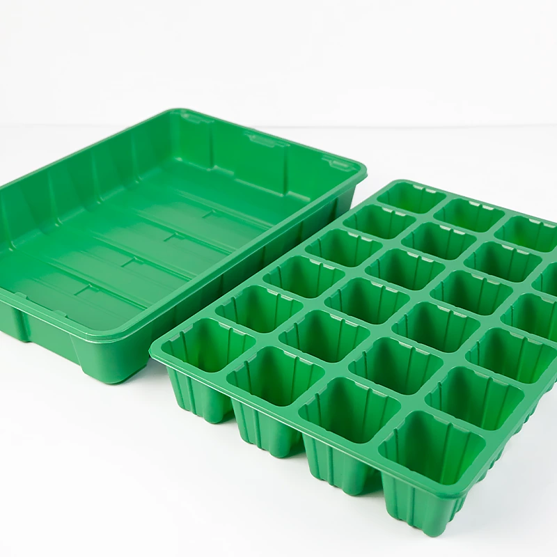 24 cell seed propagator box