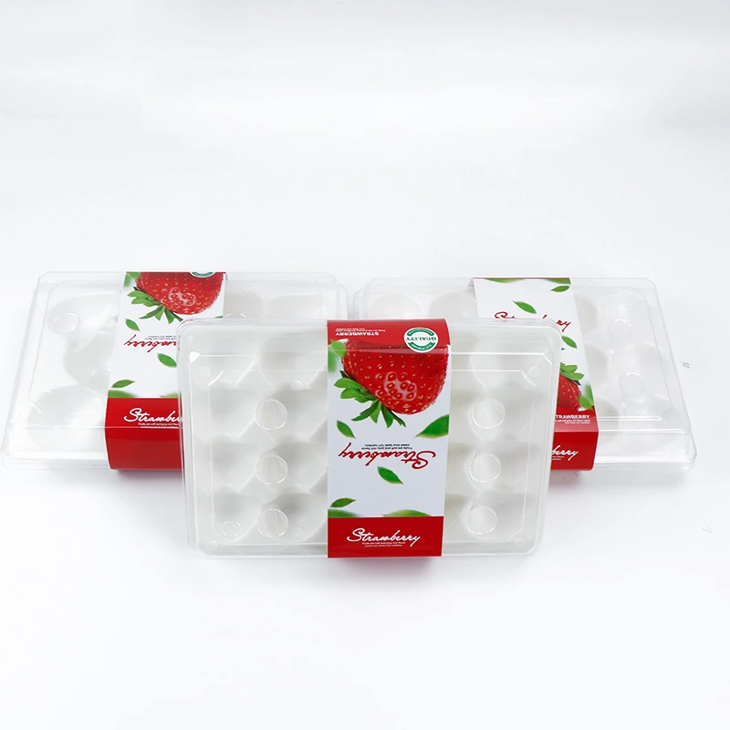 9 15 20cells Custom Strawberry PE Foam Tray And Plastic Box