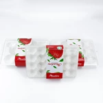 9 15 20cells Custom Strawberry PE Foam Tray And Plastic Box