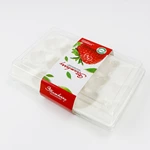 9 15 20cells Custom Strawberry PE Foam Tray And Plastic Box