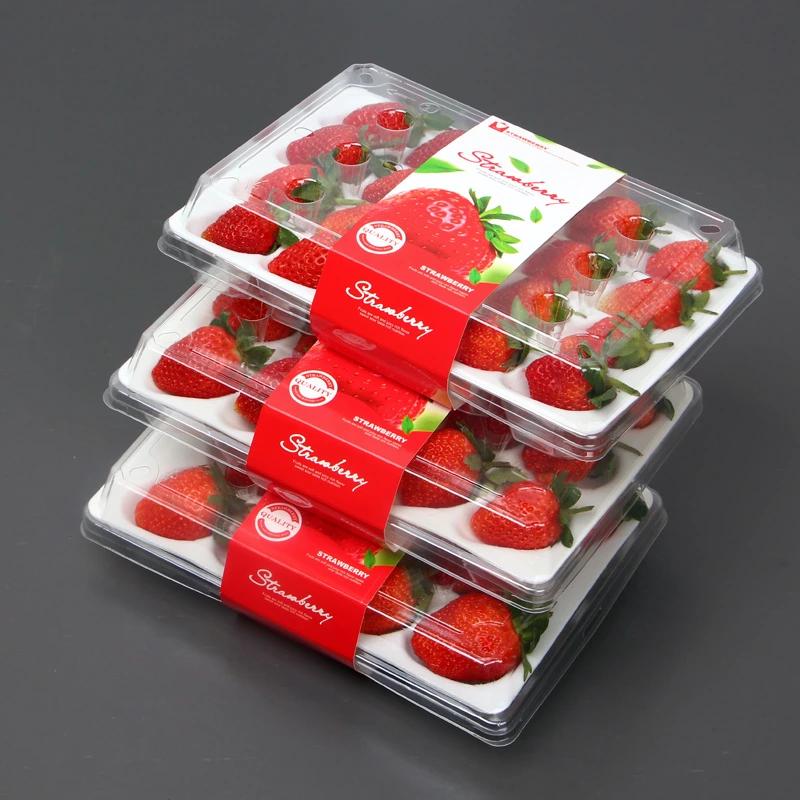 9 15 20cells Custom Strawberry PE Foam Tray And Plastic Box