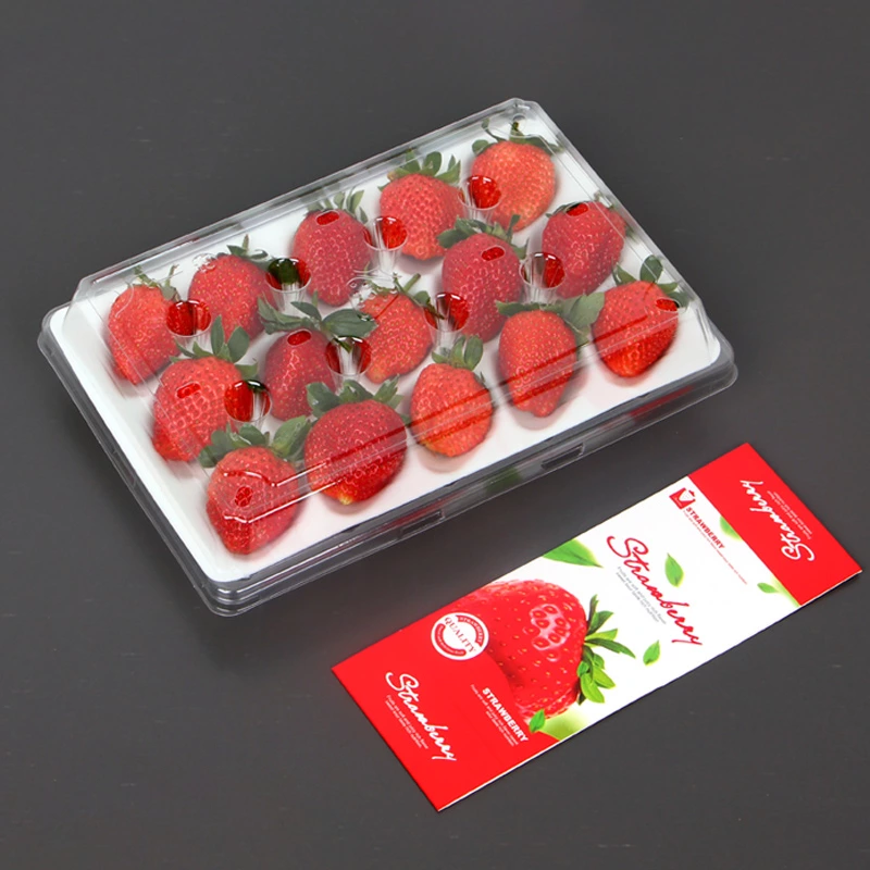 9 15 20cells Custom Strawberry PE Foam Tray And Plastic Box